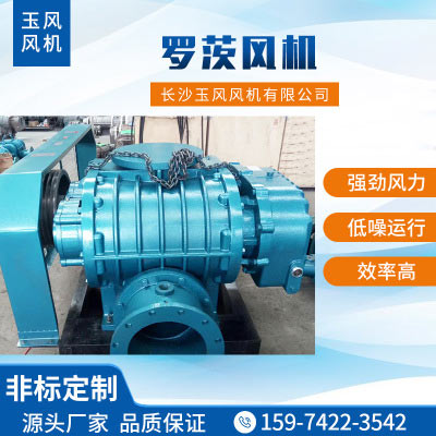羅茨風(fēng)機(jī)